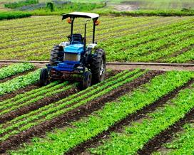 GreenPlastico da Amazônia