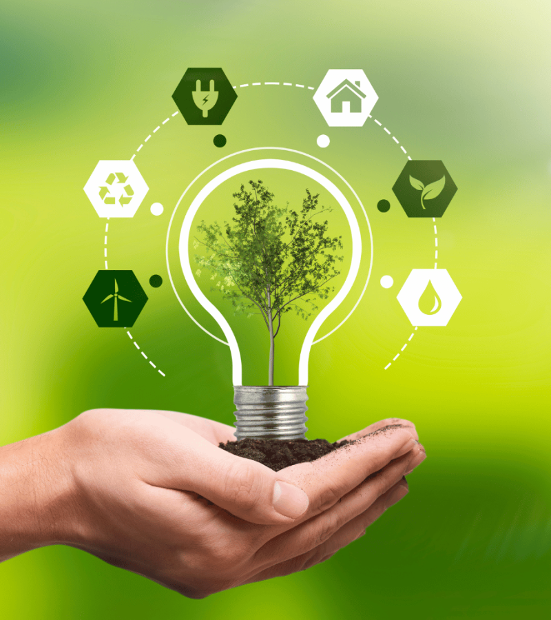 Green Plásticos da Amazônia